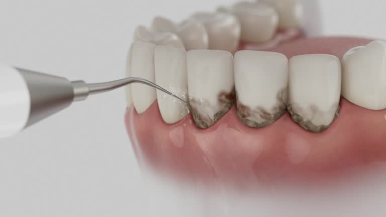 Reliable Dental contractor in Greilickville, MI by Dentist Open Now